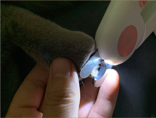 ✂️ Obcinaczka Vozzy „Safety-Cut” – Profesjonalny manicure w Twoim domu