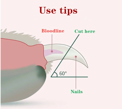 ✂️ Obcinaczka Vozzy „Safety-Cut” – Profesjonalny manicure w Twoim domu
